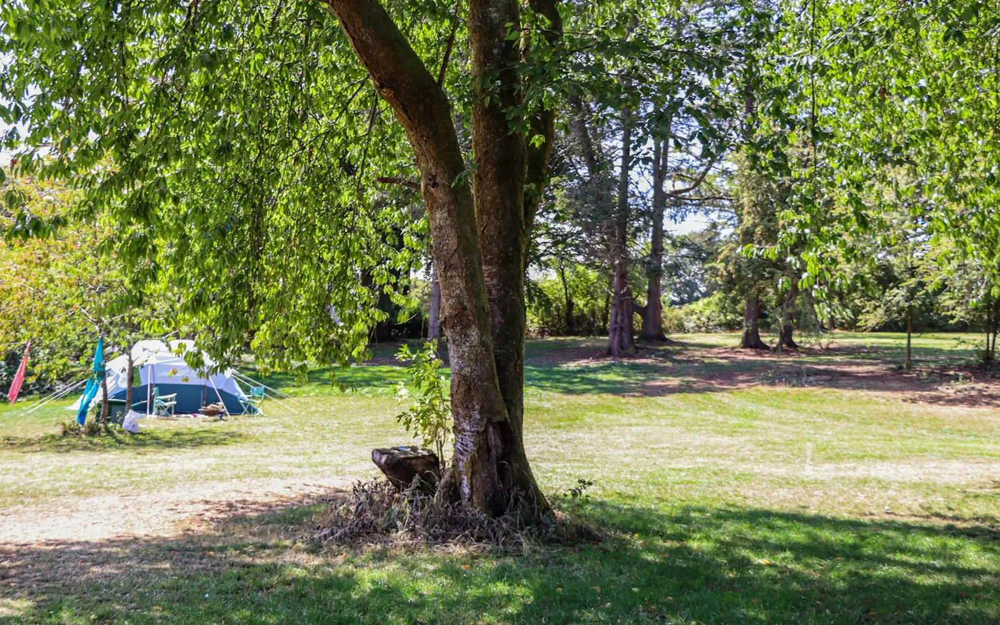Telt på en grønn campingplass