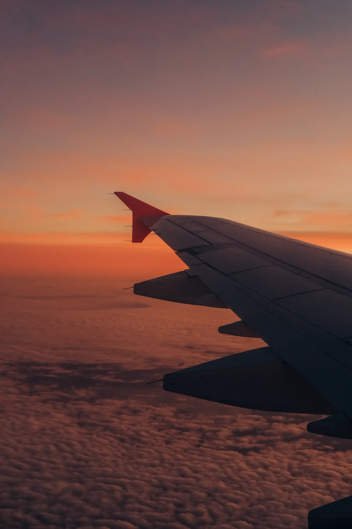 Flyvinge over skyene ved solnedgang